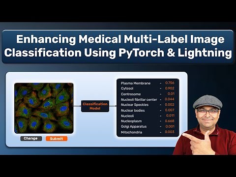 Deep Learning in Medical Imaging: Multi-label Classification with PyTorch | Hands-on Demo