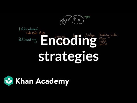 Encoding strategies | Processing the Environment | MCAT | Khan Academy