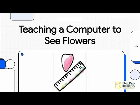 Random Forest Classifier Explained | Python Machine Learning Tutorial