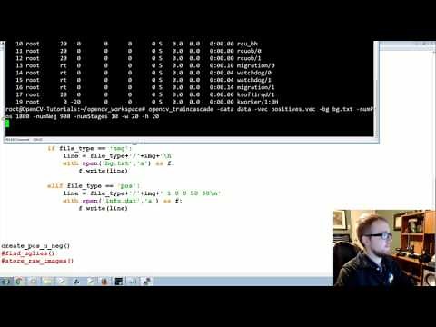 Training Haar cascade object detection - OpenCV with Python for Image and Video Analysis 20
