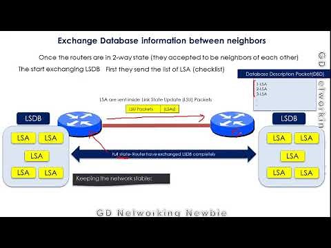 OSPF | Open Shortest Path First Routing Protocol Tutorial