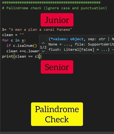 Palindrome check using Python