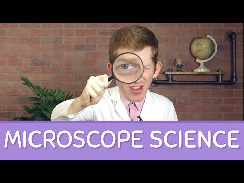 How Do Microscopes Work? MICROSCOPE Science!