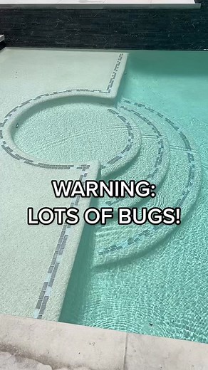 Starting a June Bug collection 🐜🙃