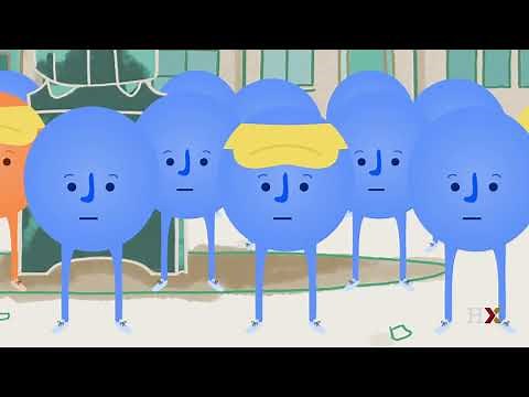 Conditional Probability Explained: Visual Intuition