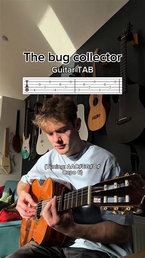 The bug collector guitar tutorial #guitartutorial #fyp #music #guitar