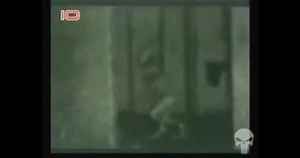 The Greys Grays Alien Race, Species, Pictures and Videos|Alien-UFO-Research|