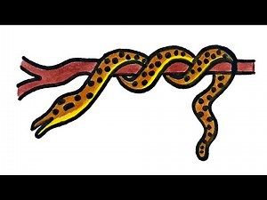 How to draw a python