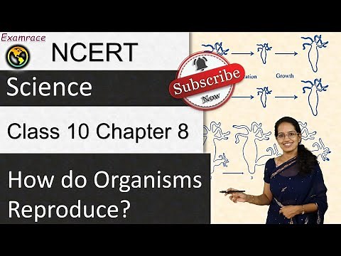 NCERT Class 10 Science Chapter 8: How Do Organisms Reproduce? CBSE | English | NSO | NTSE