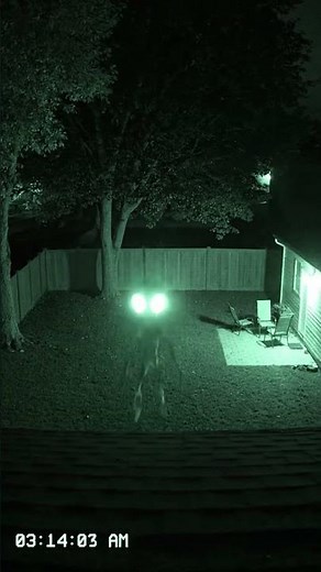 Alien Caught on Security Camera Looks at Lens and Flies Away!