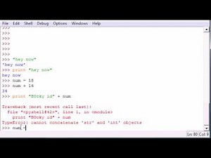 Python Programming Tutorial - 7 - More on Strings