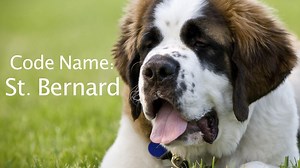 Project Funway: Code Names Help Spice Up the Art of the Deal