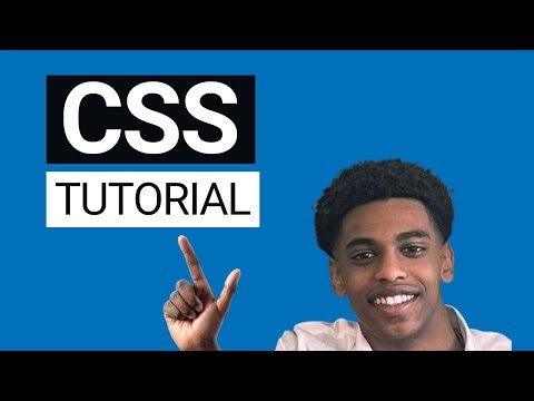 CSS Tutorial For Beginners: CSS Crash Course (2026)