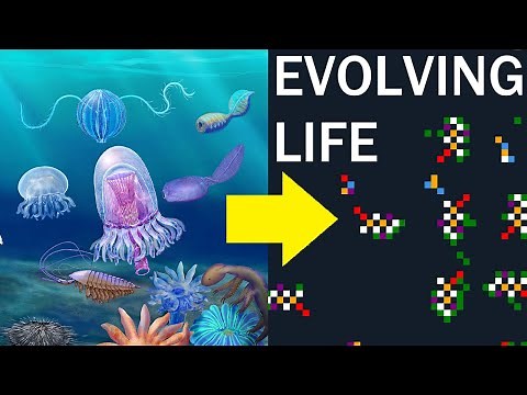 Evolution Simulator [The Life Engine]