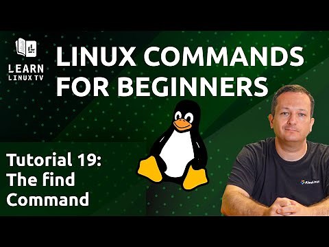 Linux Commands for Beginners 19 - The find Command