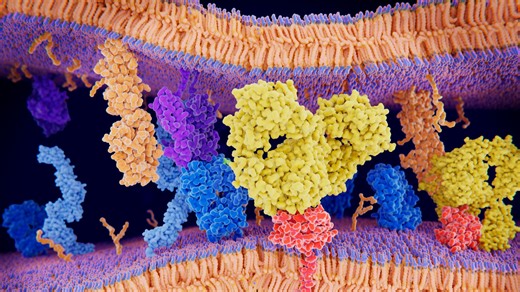AI-powered supercomputer decodes proteins to speed up drug discovery