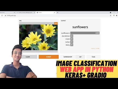 Image Classification Web App in Python| Keras +Gradio|