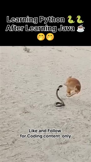 Codexalabs | IT & Coding | Learn Python after Java is like 😆 #Java #Python #JavaVsPython #CodingLife #ProgrammerHumor | Instagram