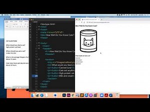 Setting Up Interactive Quiz in HTML and CSS