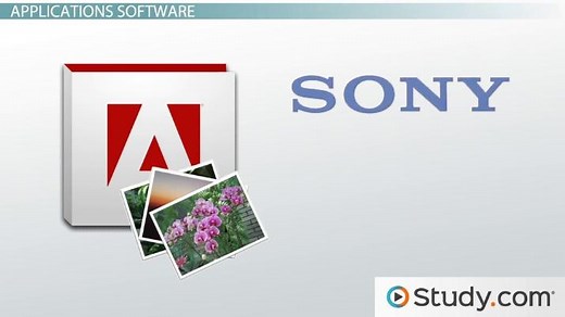 Application Software Overview, Types & Examples
