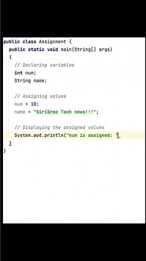 Assignement Operator in java