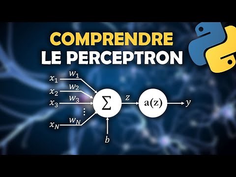 Comprendre le Perceptron + Exemple en Python [From Scrath]