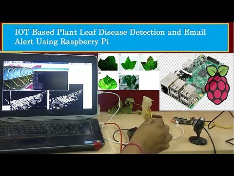 IOT BASED PLANT LEAF DISEASE DETECTION AND EMAIL ALERT USING RASPBERRY PI