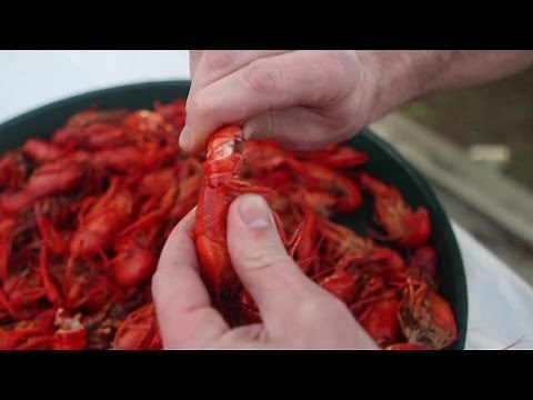 How To Eat a Crawfish