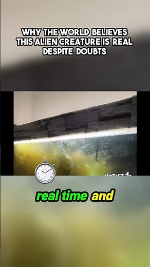 Are We Not Alone? Discover the Truth Behind This Amazing Alien Document!