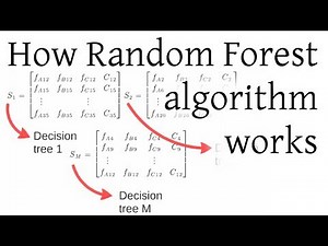 How Random Forest algorithm works