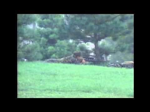 Legendary Columbus sniper shot