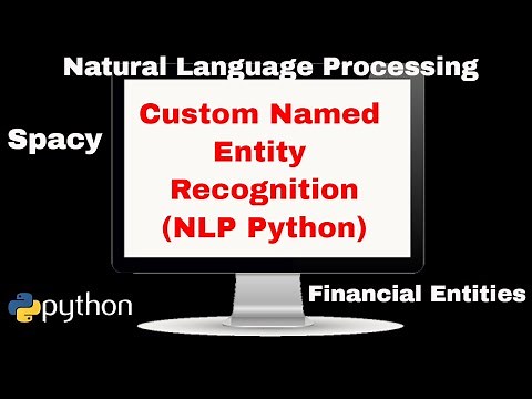 Custom Named Entity Recognition using Python
