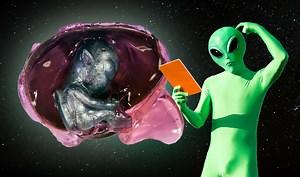 Unravelling the 2000s Schoolyard Craze for Weird Alien Eggs