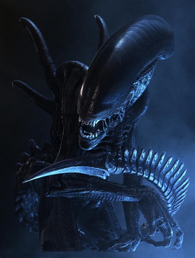Antarctica Xenomorph (Alien vs Predator) - Alien vs. Predator Galaxy
