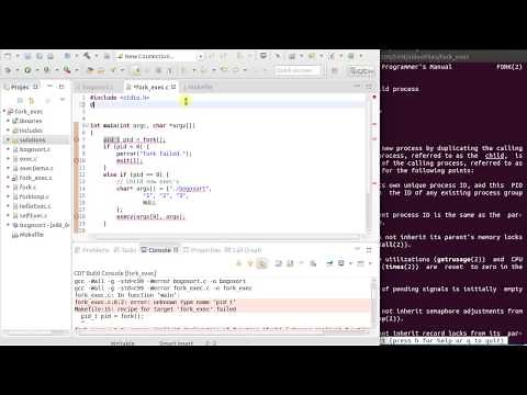 Fork and Exec Linux Programming