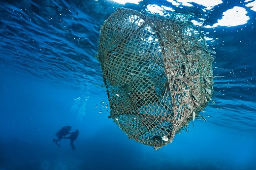 Ghost nets: What you need to know about these deadly ocean polluters | Discover Wildlife