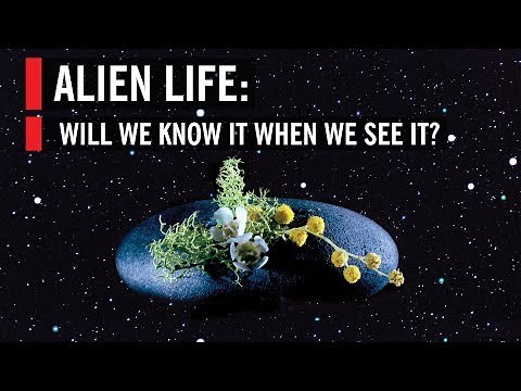 Alien Life: Will We Know It When We See It? | World Science Festival