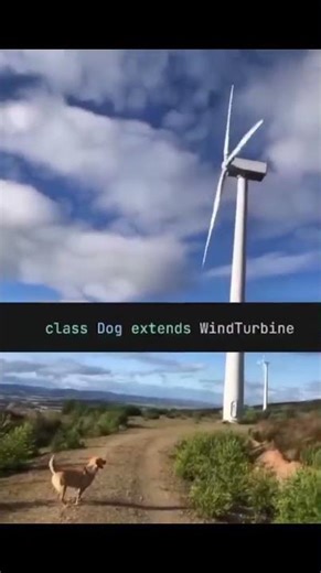 Vibe Coding | #shorts #funny #memes #youtubeshorts #ytshorts #comedy