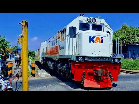 KERETA API PANJANG‼️ MENEMUKAN KERETA API PANJANG NGEBUT DI TIKUNGAN EPIC 1/1