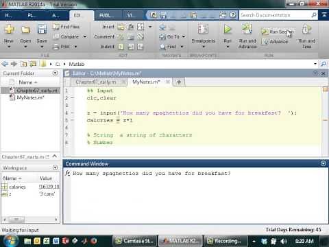 Writing Input Statements in Matlab
