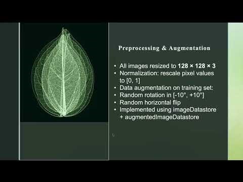 Plant Leaf Disease Detection Using CNN | MATLAB Deep Learning Project (91% Accuracy)