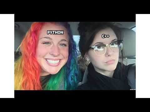 Programming Memes || r/ProgrammerHumor