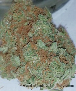 Critical   | Marijuana Strain Reviews