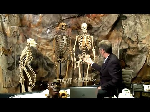 What DNA Says About Our Human Family Episode II, Ancient Relatives: Neanderthals and Denisovans