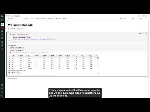 Databricks | Notebook Development Overview