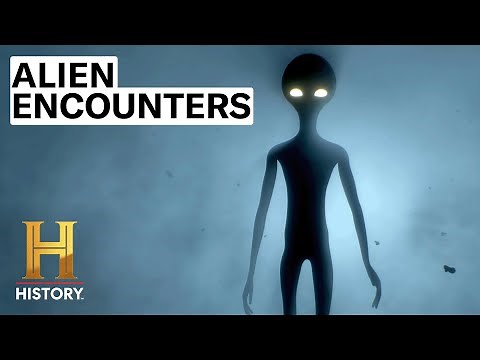 TOP 4 INSANE ALIEN ENCOUNTERS | The Proof Is Out There | History