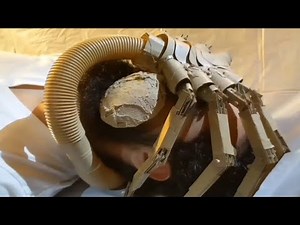 Alien: Low-budget Remake