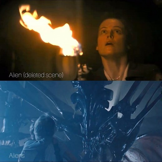 Alien the 8th Passenger | Eggmorphing or Egg-laying Queen? Eggmorphing, also known as Ovomorphing, is a process by which Xenomorphs can generate a viable egg in the... | Instagram