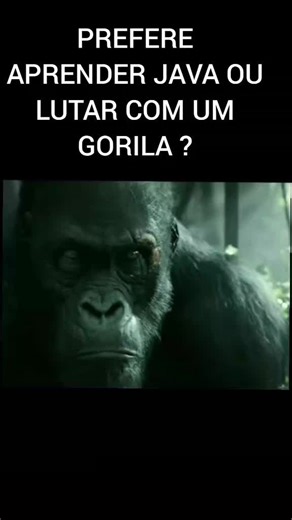 meme do JAVA 🤣🤣🤣 #programação #java #fyp #resenha #resenhas #foryou #ti #viral #dev #edit #meme #memes #engraçados #engracado #dev #senior