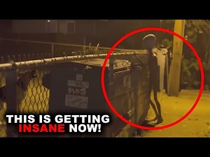 CCTV Camera Captured the Clearest Image of a Strange Creature — Could This Be the Grey Alien?